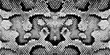 Print snake texture black white