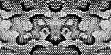Fototapeta Konie - Print snake texture black white