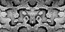Print Snake Texture Black White