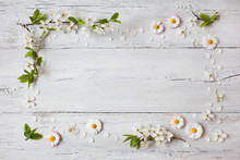 Background With Daisies And Blooming Cherry, Plum