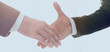 © ASDF - Two  business men going to make handshake