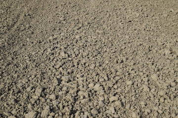 Plowed field, rows from soybean sowing. Soil on the field