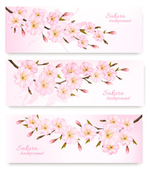Poster - Nature spring banners with al pink sakura branches. Vector.