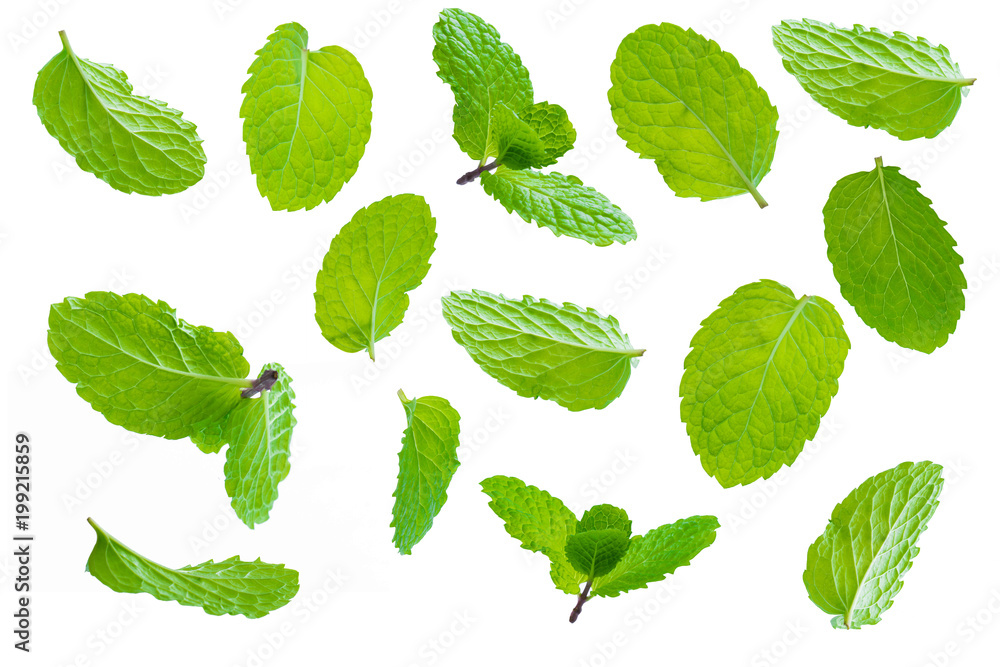 Fly fresh raw mint leaves isolated on white - obrazy, fototapety, plakaty 
