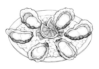 Hand drawn oyster salt-water bivalve platter