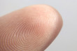 Close-up of fingerprint texture of finger skin