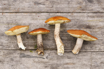 Raw mushrooms on rustic wooden table.