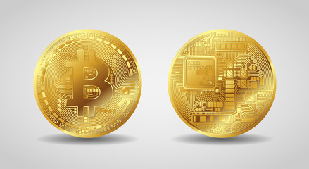 vector gold bitcoin front and back side