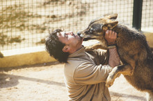 Man With Wolf In Zoo
