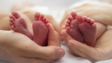 Mother And Father's Hands Cradling Twin Babies' Feet On A Pale Background.