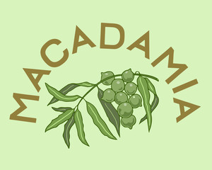 Macadamia label with text