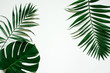 © mykolastock - Green flat lay tropical palm leaf branches on white background. Room for text, copy, lettering.