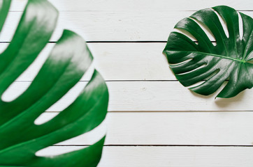 Wall Mural - Two green monstera tropical leaves frame on white wooden planks background. Empty space for copy, text, lettering.