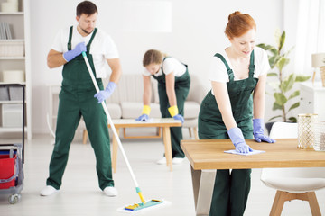 Wall Mural - Dusting women and moping man