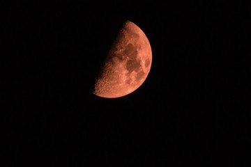 Wall Mural - big red moon