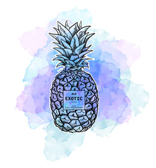 Fashion illustration sketchy style pineapple.Digital vector detailed line art hand drawn retro fruit.Vintage ink flat style, engraved simple doodle sketches. Trendy poster for textile, fabric, web