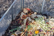 colorful compost pile / Compost heaps with garden waste and kitchen waste such as vegetable peel, fruit bowls, flowers, coffee filters and eggshells 