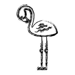 Sticker - cute flamingo tropical bird icon vector illustration sketch