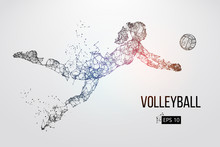 Silhouette Of Volleyball Player. Vector Illustration.