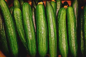 fresh green cucumber in the store