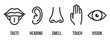 © happyvector071 - Creative vector illustration line icon set of five human senses. Vision, hearing, smell, touch, taste isolated on transparent background. Art design nose, eye, hand, ear, mouth with tongue element