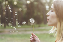 Tranquil Woman Standing In Park And Blowing On Dandelion. Copy Space In Left Side
