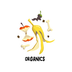 Wall Mural - Organic litter bone, peel of banana and stub of apple. Rotten food. Flat vector illustration of waste recycling and trash sorting