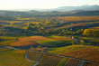 Autumnal fields in the Spanish wine-making region of La Rioja