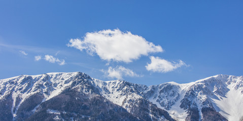 Wall Mural - idyllic alps landscape in spring time 