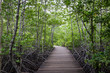 Wood path way among the Mangrove forest