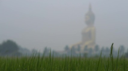 Wall Mural - Roll Focus at Biggest Buddha Statue at Wat Muang in the Morning, Ang Thong, Thailand