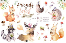 Cute Watercolor Bohemian Baby Cartoon Hedgehog, Squirrel And Moose Animal For Nursary, Woodland Isolated Forest Illustration For Children. Bunnies Animals.