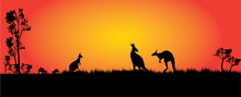 Kangaroos Feeding In The Sunset