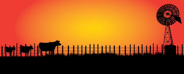 Wall Mural - wind mill  in the outback with three cows