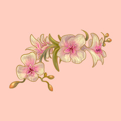 Sticker - Illustration of flower isolated background