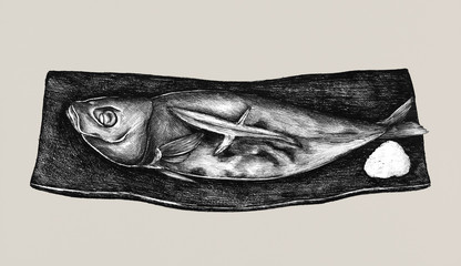 Canvas Print - Hand drawn grilled mackerel fish