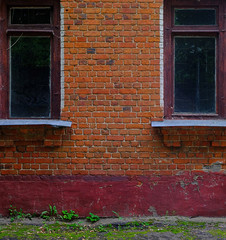 green grass and sprouts under a brick wall with two windows 