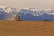 © image2roman - Labour moderne avec tracteurLabour avec tracteur sur une terre agricole en Occitanie, Pyrénées-Orientales - France. Chaîne de montagne enneigée à l'arrière plan.