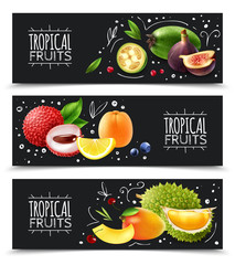 Canvas Print - Tropical Fruits Horizontal Banners