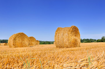 bale of hay in a field under blue sky