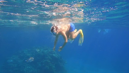 Wall Mural - Boy dive in Red sea near coral reef