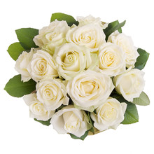 Bouquet Of White Roses