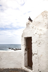 dos palomas posadas en un edificio de construcción antigua encalada de blanco  desconchada y una puerta de hierro oxidada situada en un mirados con vistas al mar, el horizonte 