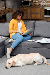 Wall Mural - beautiful young woman working at home while her dog lying on floor