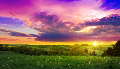 Wall Mural - spring sunset over the green field.
