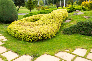 Wall Mural - landscape design with green bushes in the park