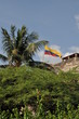 Berg, Flagge, Kolumbien, Palme, Cartagena
