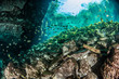 © Michael Bogner - Diving in the Cenote Nicte Ha in Yucatan, Mexico