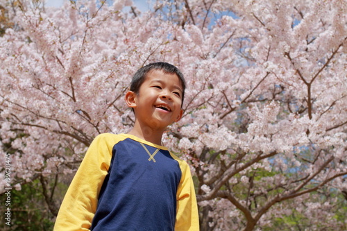 小学生 3年生 と桜 Buy This Stock Photo And Explore Similar Images At Adobe Stock Adobe Stock