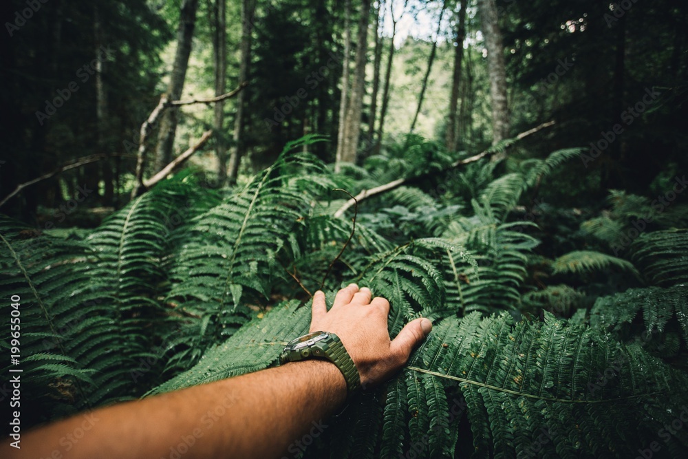 Close up of explorer male hand in green rainy forest.Survival travel,lifestyle concept. - obrazy, fototapety, plakaty 